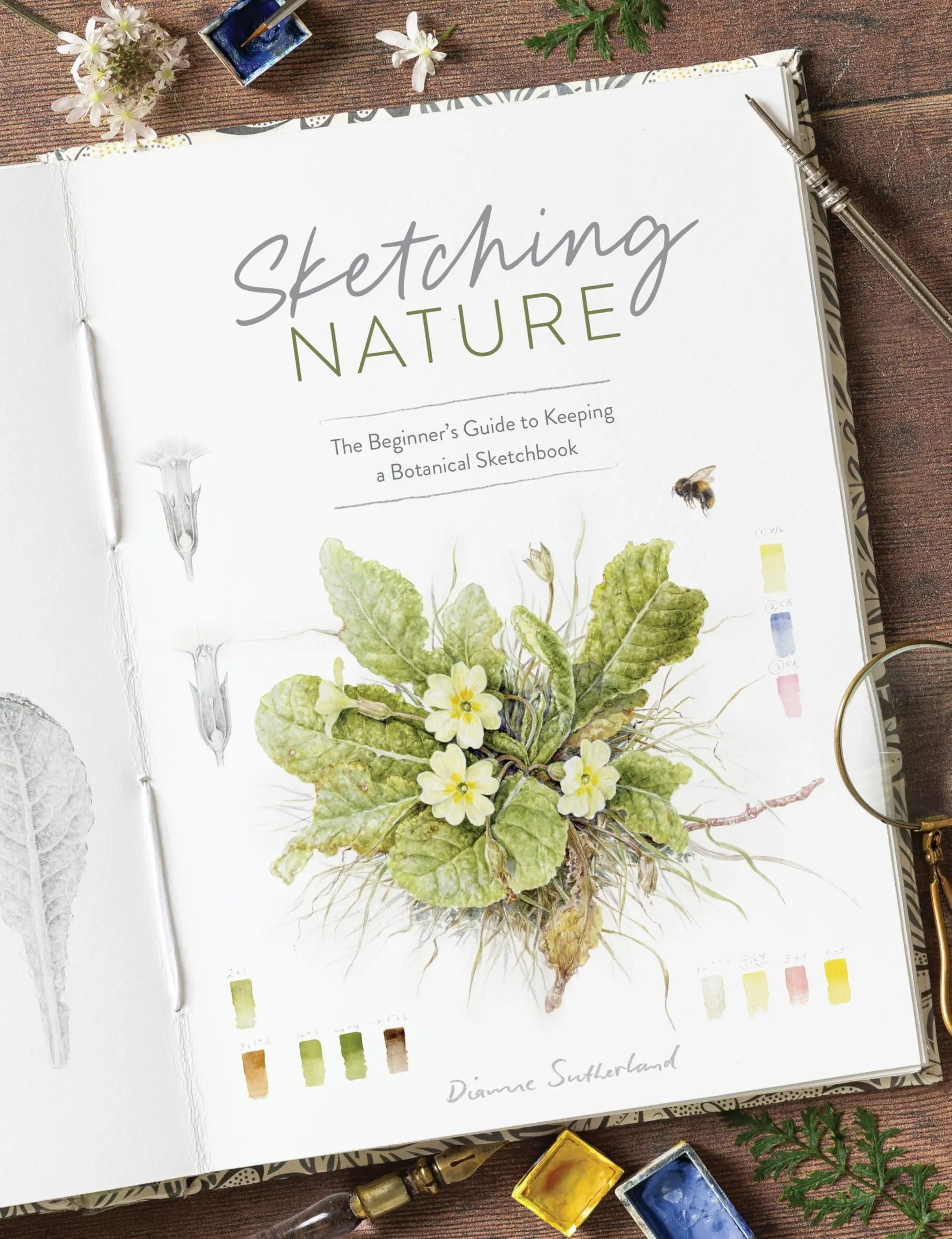 Sketching Nature: The Beginner's Guide to Keeping a Botanical Sketchbook -- Dianne Sutherland - Paperback
