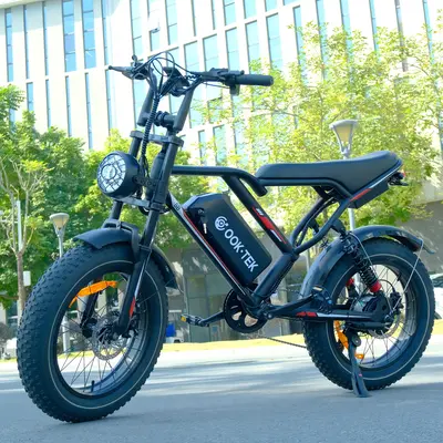Sand Viper Electric Bike Rambo The Nomad 750W XPC11 All-Terrain