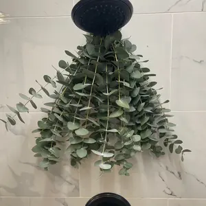Beautiful eucalyptus shower bundle