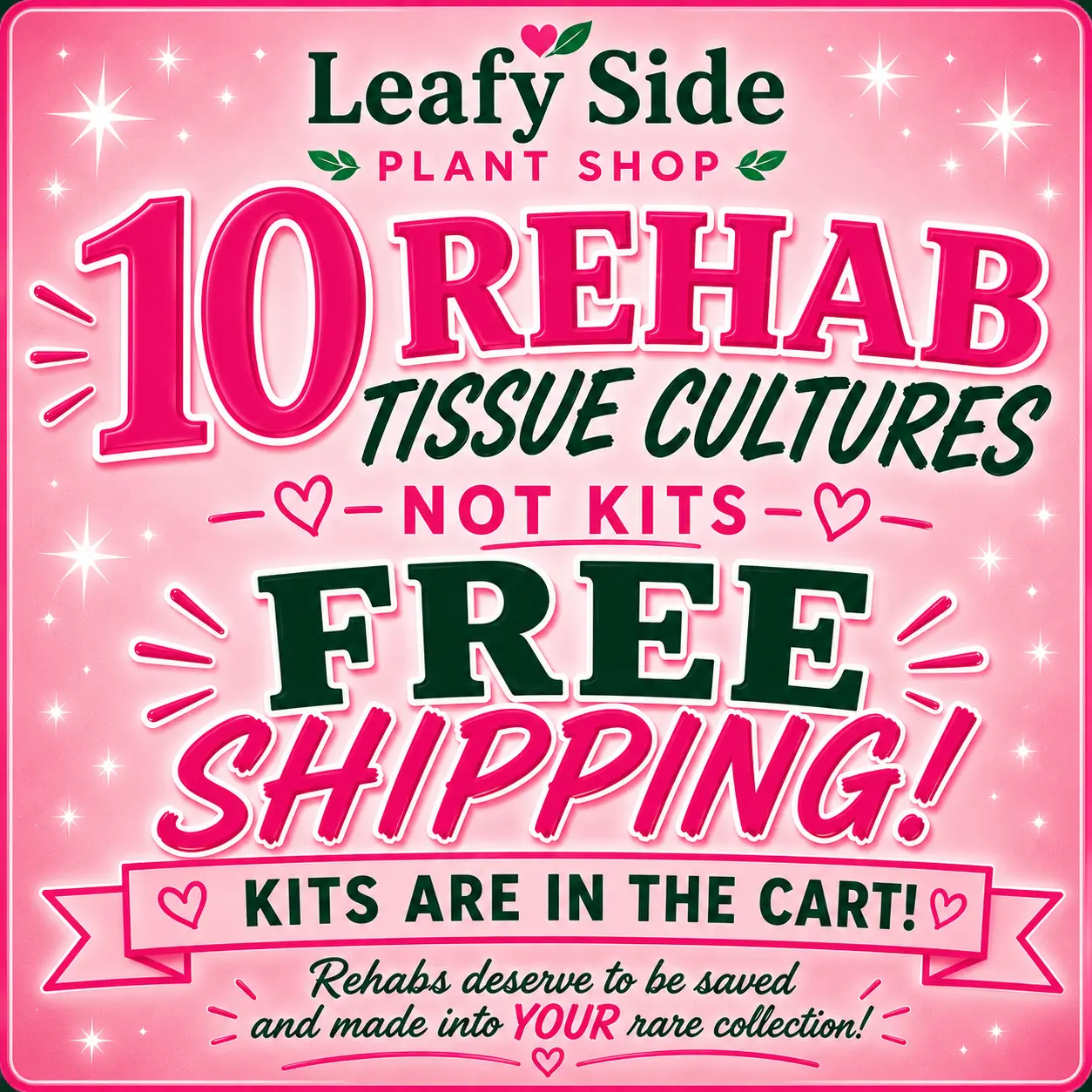 Tissue Culture Rehab Plants 10 Pack - Plants Need Some Love