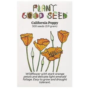 California Poppy Seeds for Planting: Native Wildflower for Gardens, Orange Blossoms, Easy to Grow, Wedding Gift - 300 Seed Packet / Bulk Pack