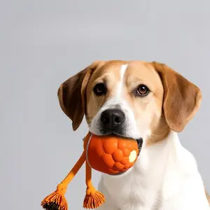 Interactive Dog Toys with Motion Activated, Automatic Rolling Ball, Squeaky Dog Toy Active Rolling Ball Wicked Ball for Daily Training,Used for cats and dogs, pet accessories, cute pet toys, Suitable for Christmas New Year Gift to Pet