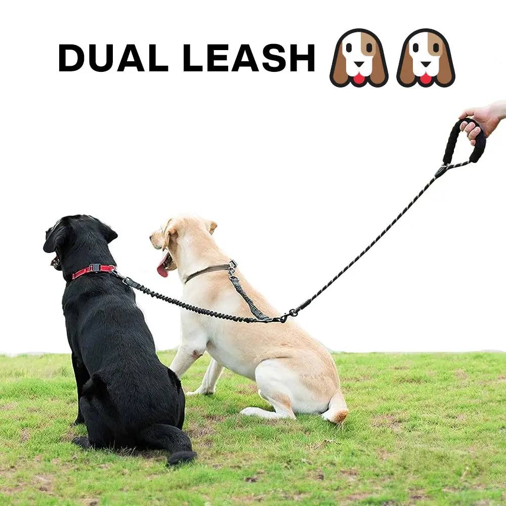 Tangle-Free Dual Dog Leash with Shock-Absorbing Bungee – Perfect for Walking Two Dogs, Large (25-150 lbs), Black