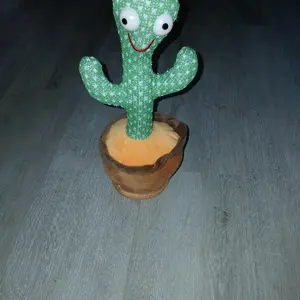 Talking Damcing Cactus - Unique Plant with Propulsive Features in Natural Setting