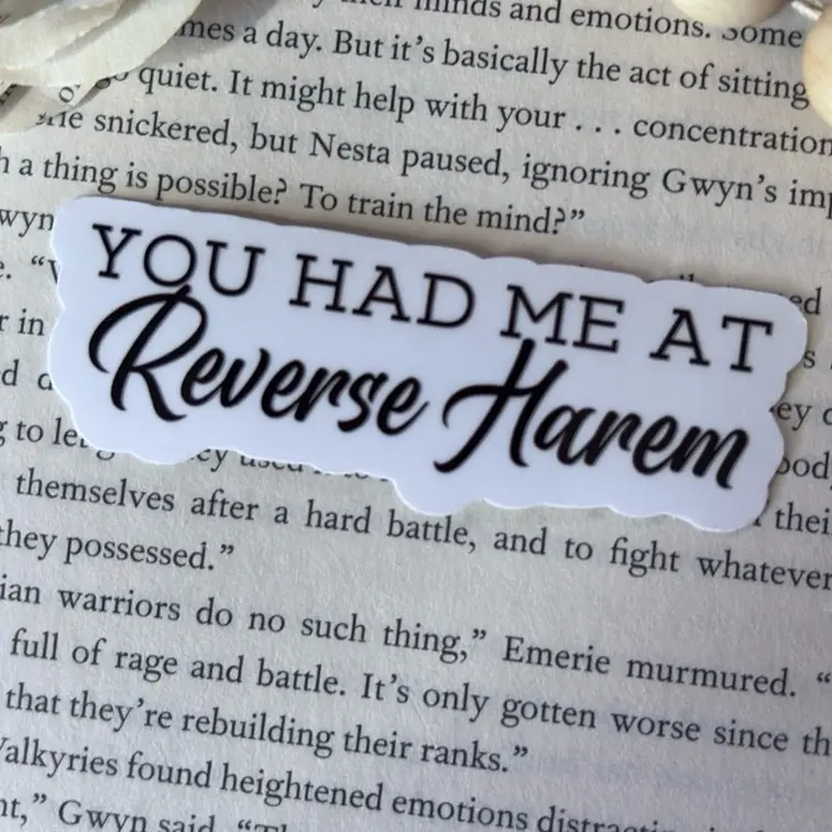 Bookish Removable Scratch-Resistant Stickers - Reverse Harem Romance Themed Decals for Kindle, Laptop, DIY Scrapbooking & Stamping (Toys & Hobbies Supplies)