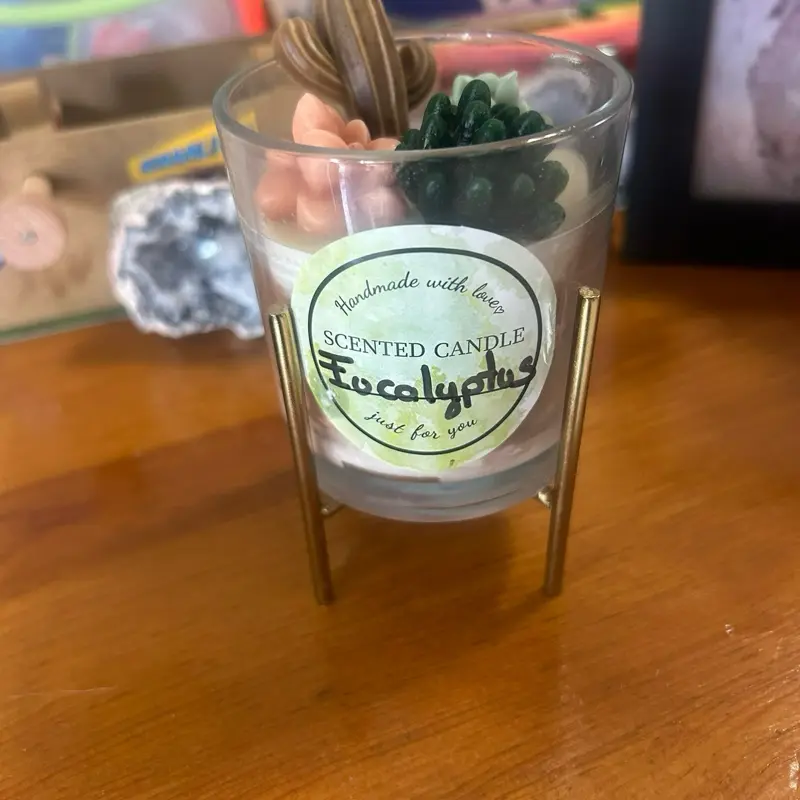 Succulent-Themed Decor Candle with Eucalyptus Scent