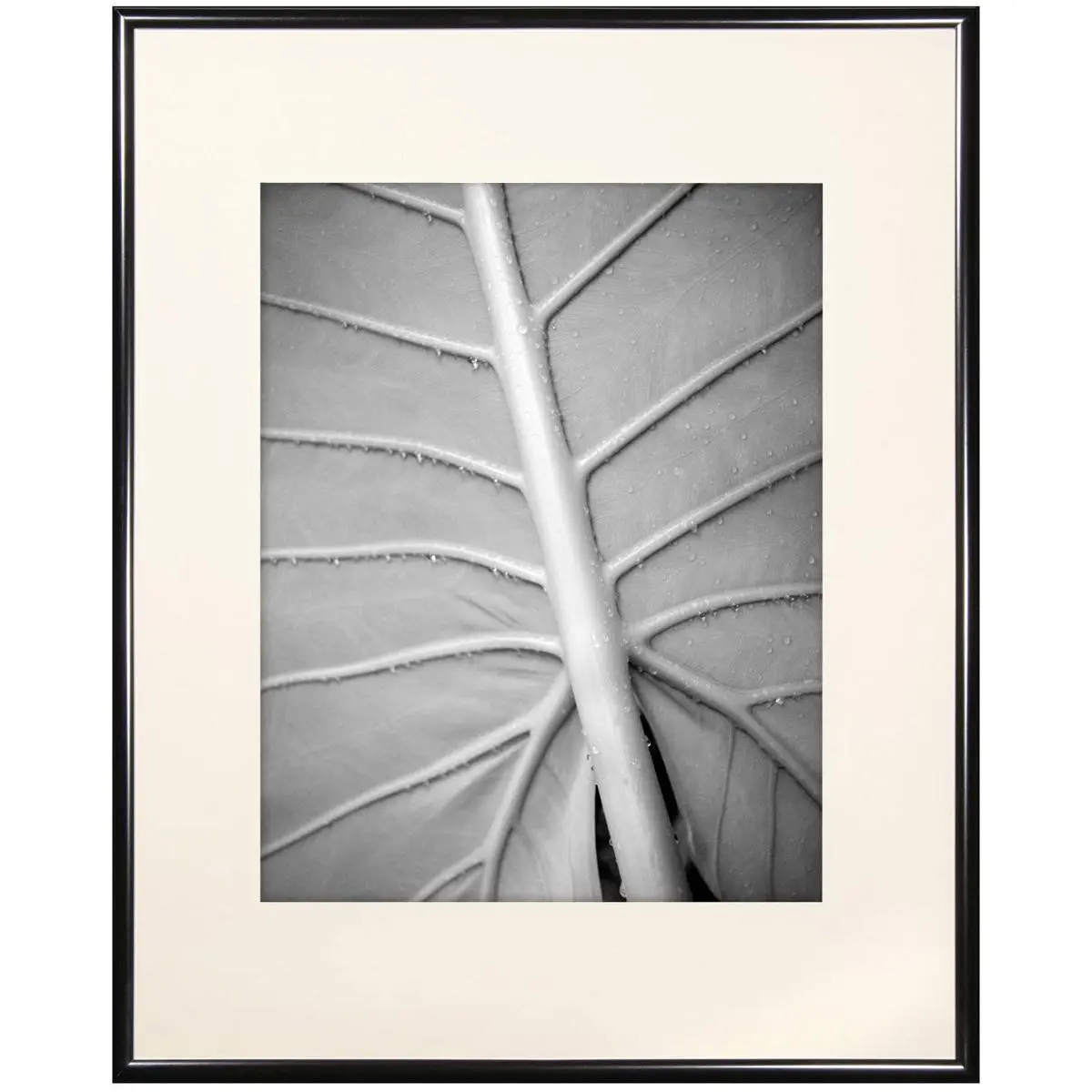 MCS Classic Aluminum 16x20" Frame, Black