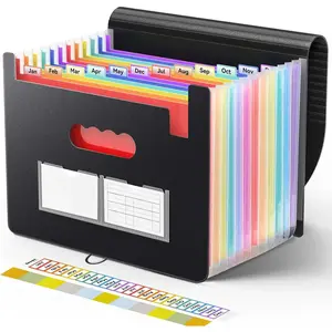 Accordion File Organizer, 13 Pockets Expanding File Folder, Portable Monthly Paper Bill Tax Receipt Organizer, Letter A4 Size Document Holder with Blank Labels, Black