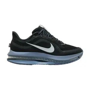 Nike Pegasus Premium 'Anthracite'