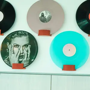 Modern Vinyl Record Wall Display Organiser with Matte Finish