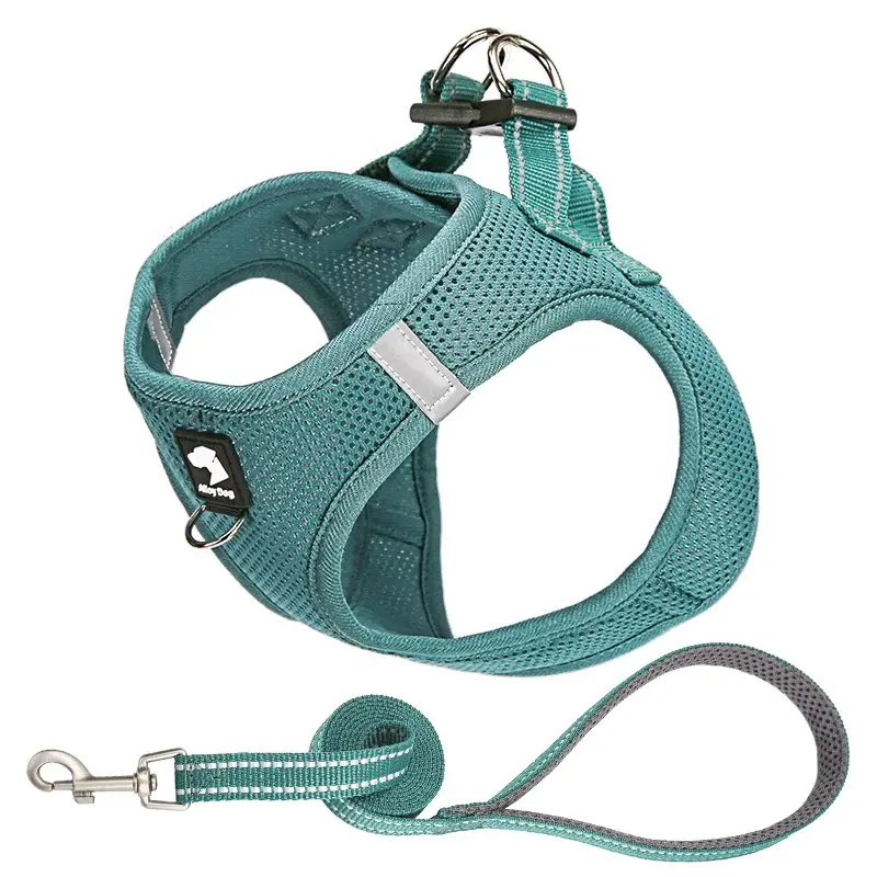 Malachite green (chest and back + traction rope)