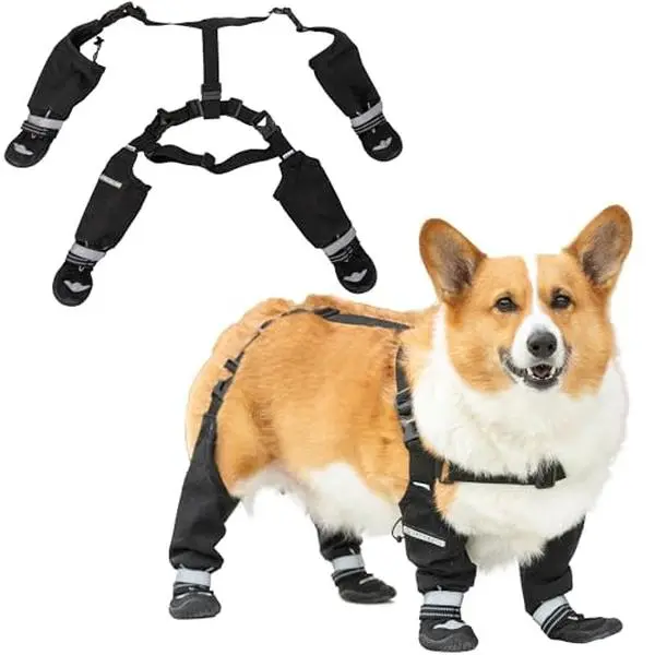 Classic Series Dog Boots | Waterproof Suspender Boots by Hokkaido Paws