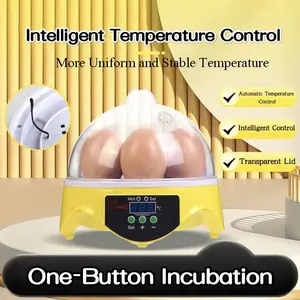 Small Home Automatic Temperature Control Incubator, Mini Incubator for Parrots Quails Chickens Poultry Eggs, Household Egg Hatcher