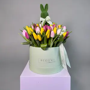Spring Pop Tulips