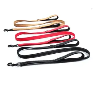 Heavy Duty Leash by Joyride