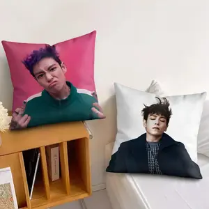 C-Choi SeungG Hyun T-TOP singer Cushion Cover Soft Short Plush Fabric Double-Sided Print Organic Breathable Sofa Pillow Case, Home Machine Washable in Perfect for Home Decor Warm Winter Home Child Gift