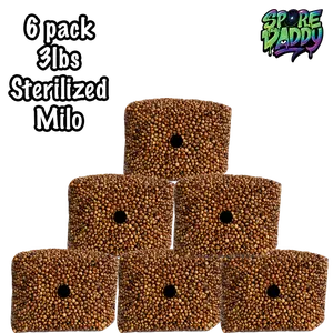 Milo Sorghum Grain Spawn | 6 pack | 3 lbs