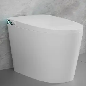 WinZo Smart Bidet Toilet, Elongated Tankless Toilet With Adjusted Heat Seat, Auto Open/Flush, Instant Warm Water and Dry, Night Light LED White