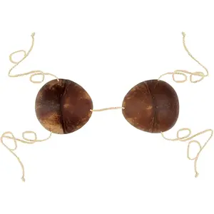 Coconut Shell Bikini Top - Real Coconut Shells, Raffia Tie Strings, Fun Luau Theme Costume Accessory for Luau Parties
