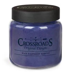 Black Raspberry Harvest ~ 16oz TWO WICK Jar Candle