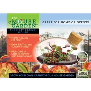 The Meat Eating Mouse Garden Glass Terrarium with Cork