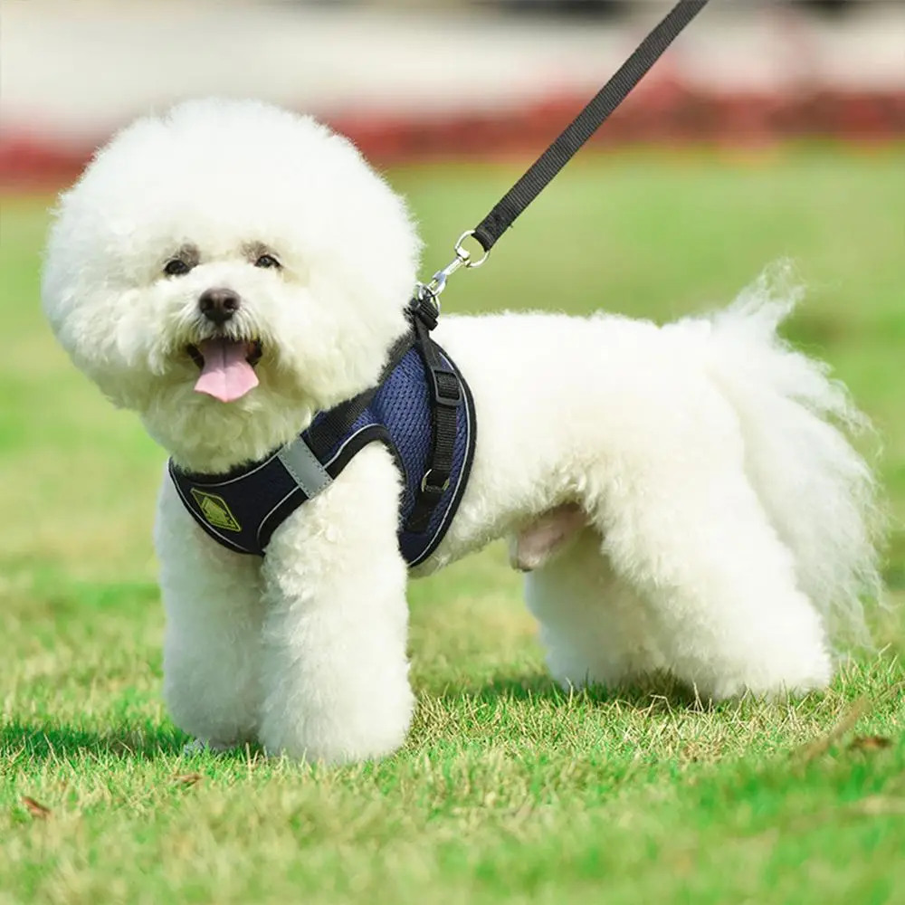 Cat Reflective Dog Harness with Leash, Adjustable Breathable Mesh Pet Harness with Traction Rope, Great for Small Dogs, Pet Supplies, Dog Stuff