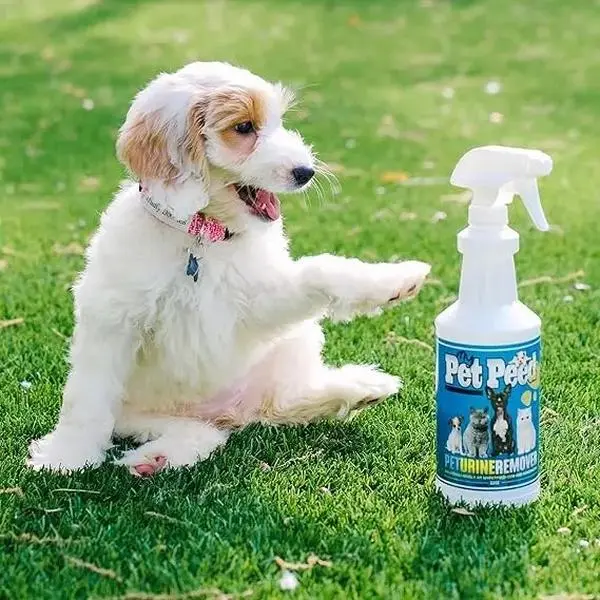 Pet Stain Remover & Odor Eliminator Spray Bottle, 32oz Solution for Dog & Cat Accidents