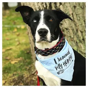 I Rescued My Human Adopt Don't Shop Bandana