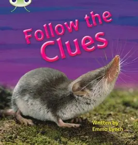 USED-Phonics Bug Follow the Clues Phase 5 by lynch-emma (Paperback)