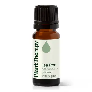 Plant Therapy Tea Tree Essential Oil 100% Pure, Undiluted, Natural Aromatherapy, Therapeutic Grade