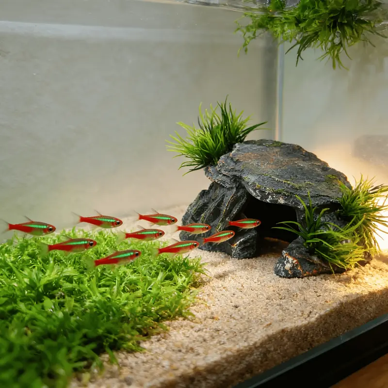 fish tank accessories rocks - TikTok Shop fish tank accessories rocks - TikTok Shop
