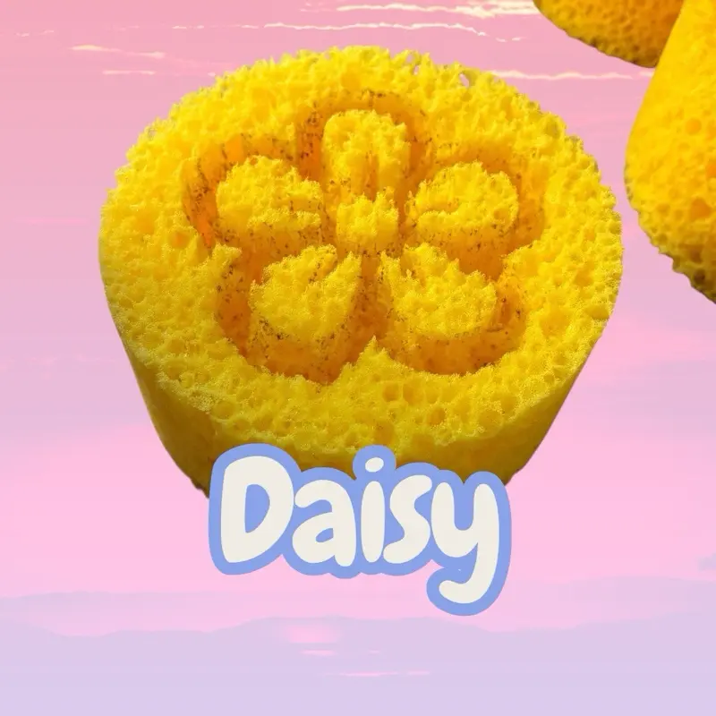 Custom Textured cheese sponge Asmr and diy purposes