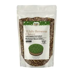 Old Cobblers Farm Wicked Tuff Turf Berseem Clover (Legumes) (5 lbs | 10 lbs | 15 lbs | 20 lbs)
