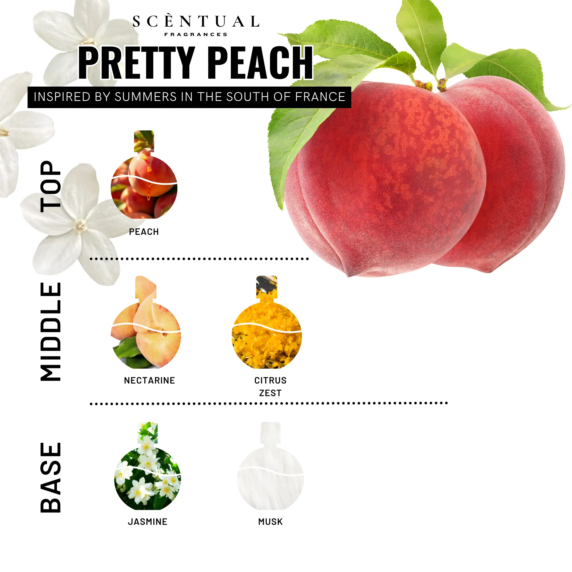6-Pretty Peach