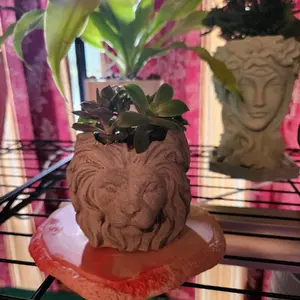Lion Concrete Planter