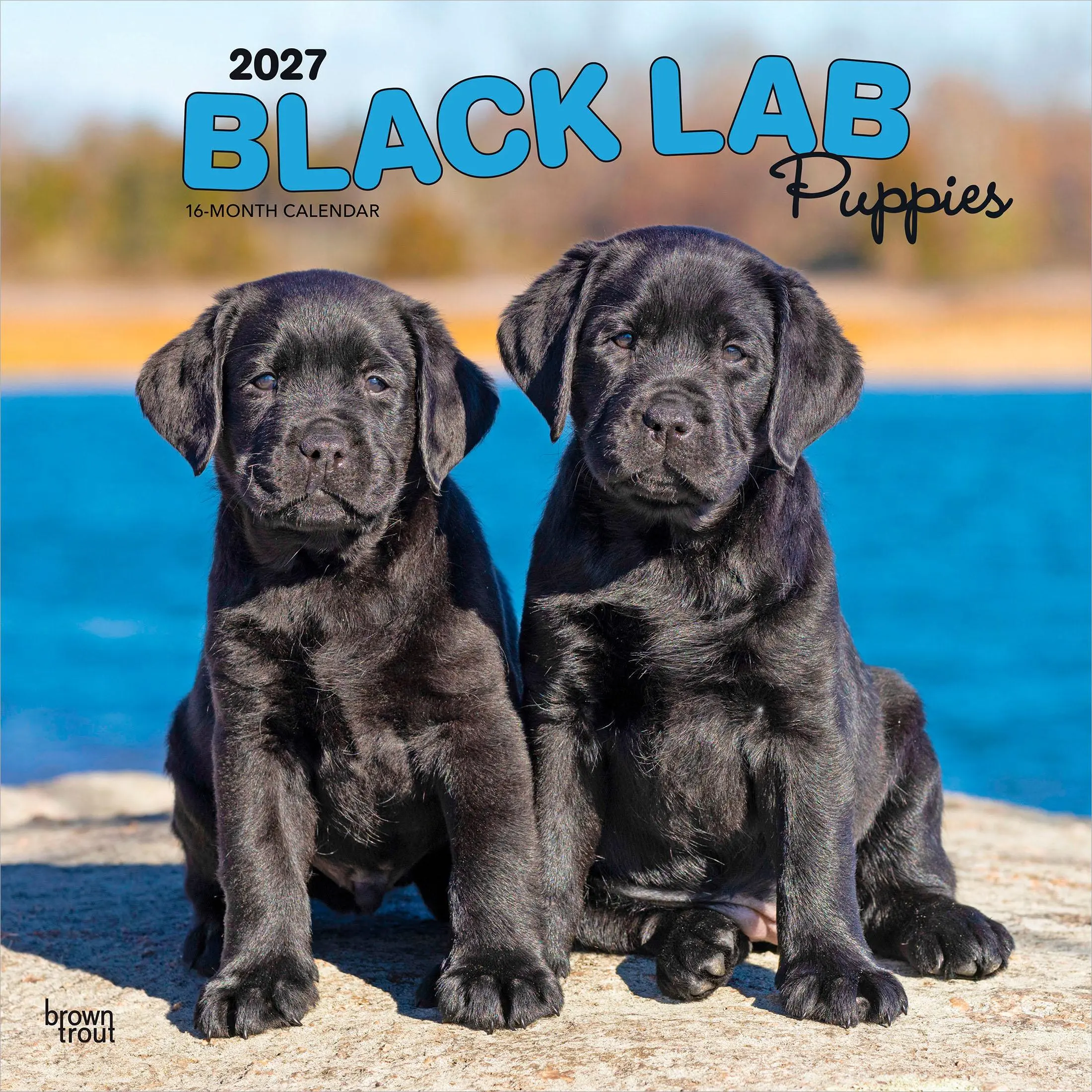 Black Labrador Retriever Puppies 2027 12 x 24 Inch (Hanging) Monthly Square Wall Calendar | Plastic-Free | BrownTrout | Animals Dog Breeds Puppy