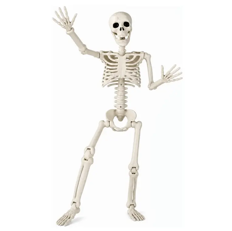 36" Halloween Skeleton, 3 ft Human Skeleton Full Body Posable Joints Plastic Skeleton for Halloween Decoration, Yard Patio Lawn Garden Skeleton Spooky Party Decoration Indoor Outdoor