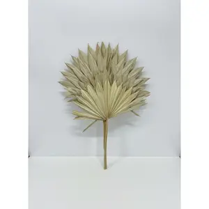 Sun Spear 20-22" Natural
