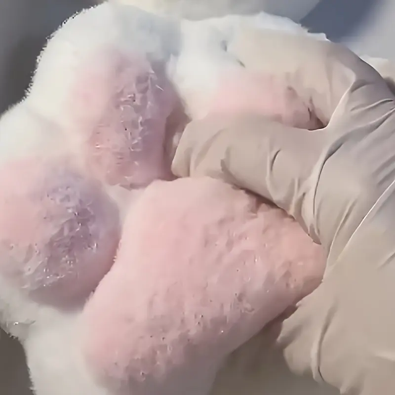 [Cute And Attractive] Giant Plush Cat Paw Squishy |     A Perfect Holiday Gift |     Without Battery