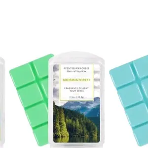 $$$ Cash $$$ wax Scented Fragrance