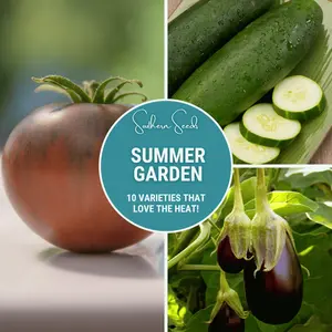 Summer Garden Seed Collection – 10 Heat Loving Varieties