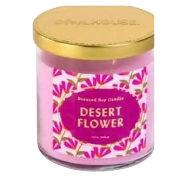 2 Opalhouse Desert Flower Scented Soy Candle 2 WICK 15OZ EACH
