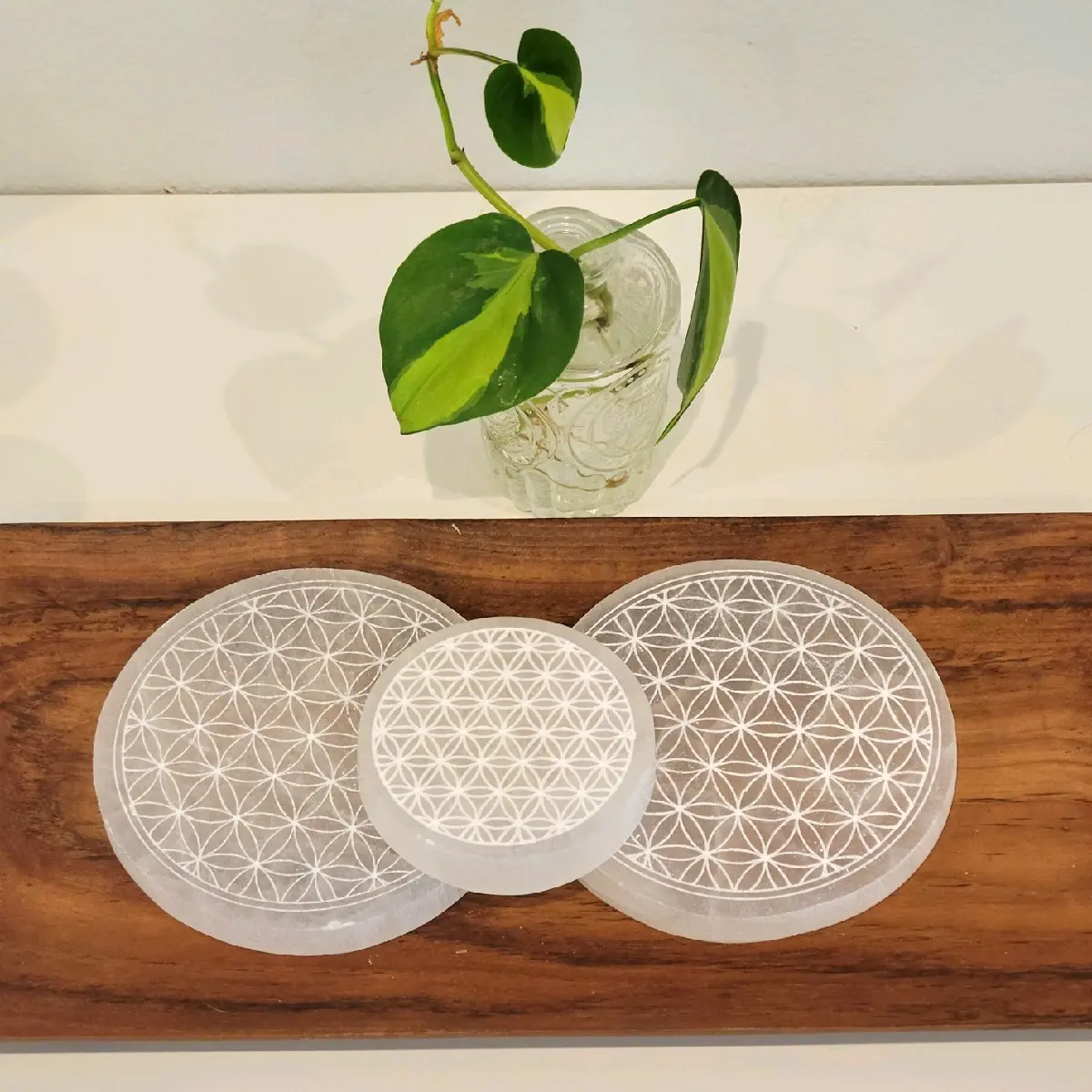 Flower of Life Selenite Charging Plates