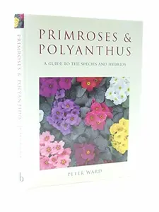 USED-Primroses & Polyanthus : A Guide to the Species and Hybrids by Peter Ward (Hardcover)
