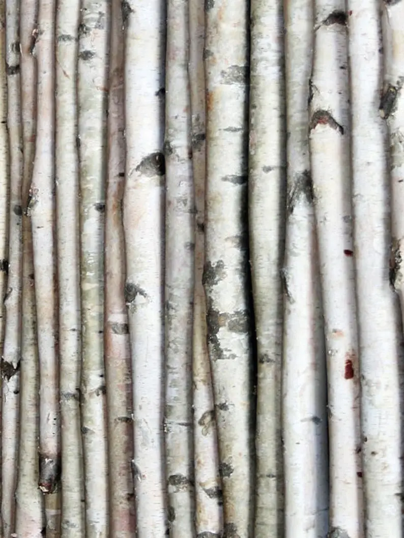 White Birch Pole Packs