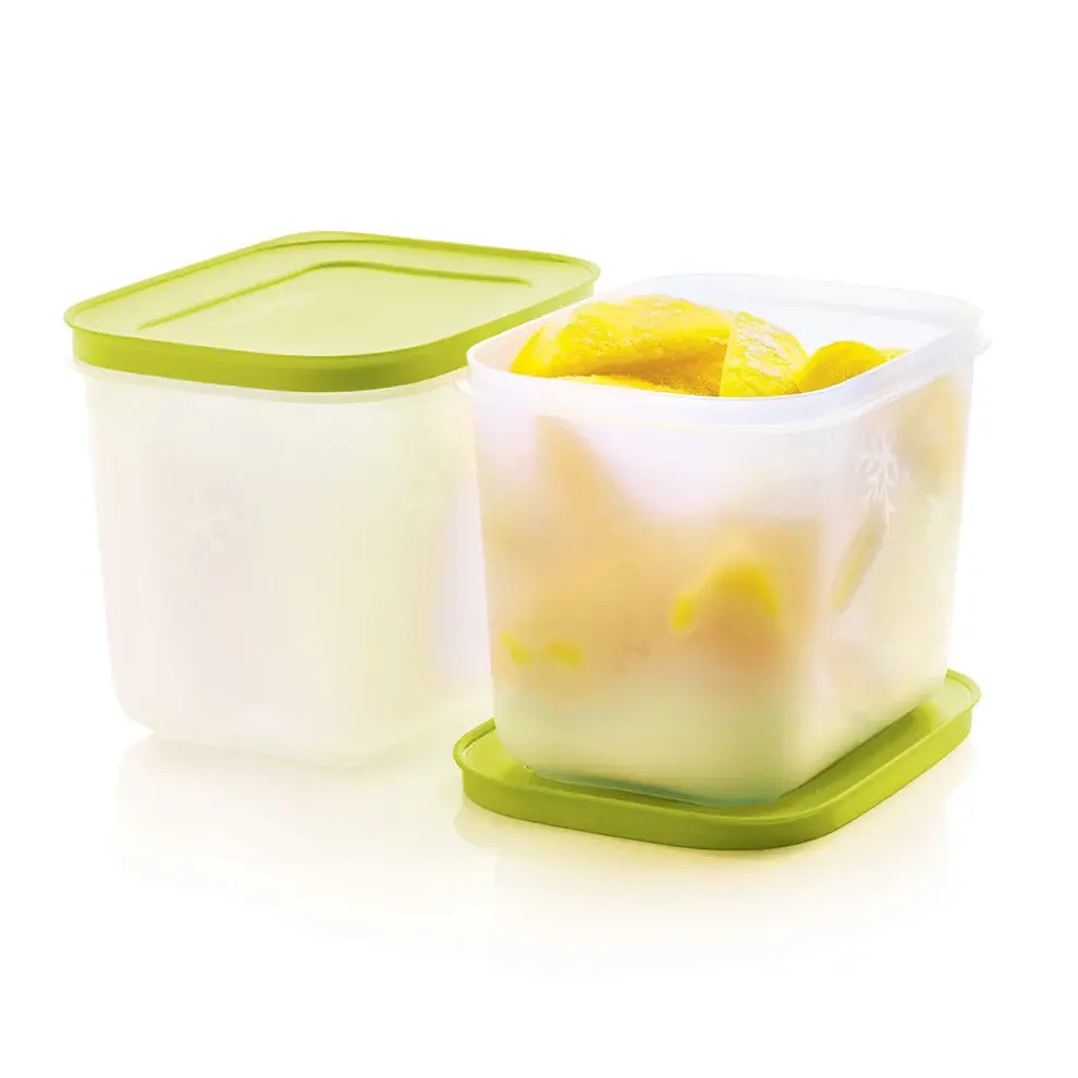 Tupperware Freezer Mates Plus Small Deep Containers