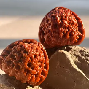 Roong /White Lion Walnuts 2026 01SS -Wenwan walnut-Unhandled walnut Premium Grade -Oxford Red Patina - Hand-Cleaned & Vacuum-Sealed - Beijing, China Origin/Anxiety toys/stressrelieftoys