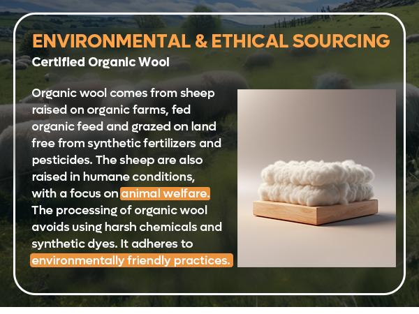 Bestier 14-inch Mattress Medium Firm Organic Wool Gel Memory Foam Ergonomic Bedding in a Box