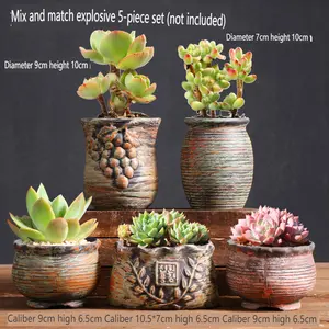 5-piece set of succulent ceramic flower pots, creative multi piece combination set, plant breathable retro indoor small, simple coarse ceramic thumb pot, personalized new style wholesale