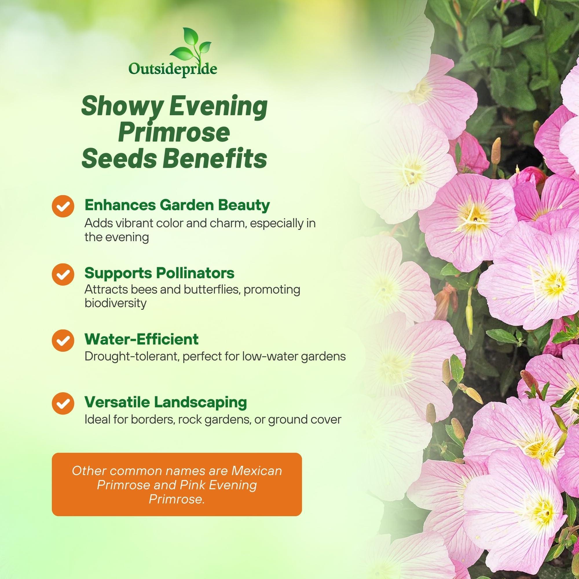 Outsidepride Showy Evening Primrose Seeds - 5000 Pcs Perennial, Hardy, Easy to Grow & Low Maintenance Flower Seeds for Planting Vibrant Soft Pink Blooms, for Containers, Borders & Erosion Control
